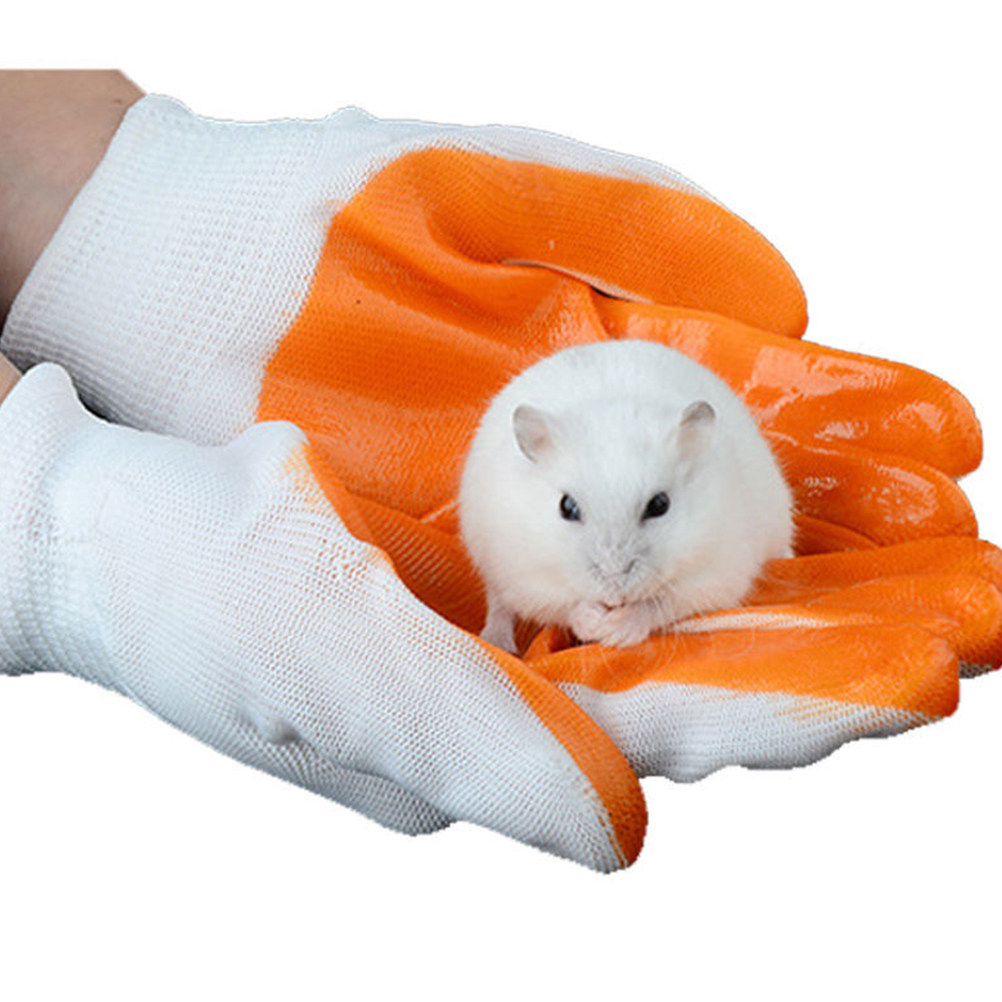 1 Çift Hayvan Koruma Eldiveni, - Cut Resistant Glove incelemesi ve fiyatı